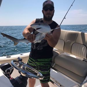 Meet your Posher, Thomas